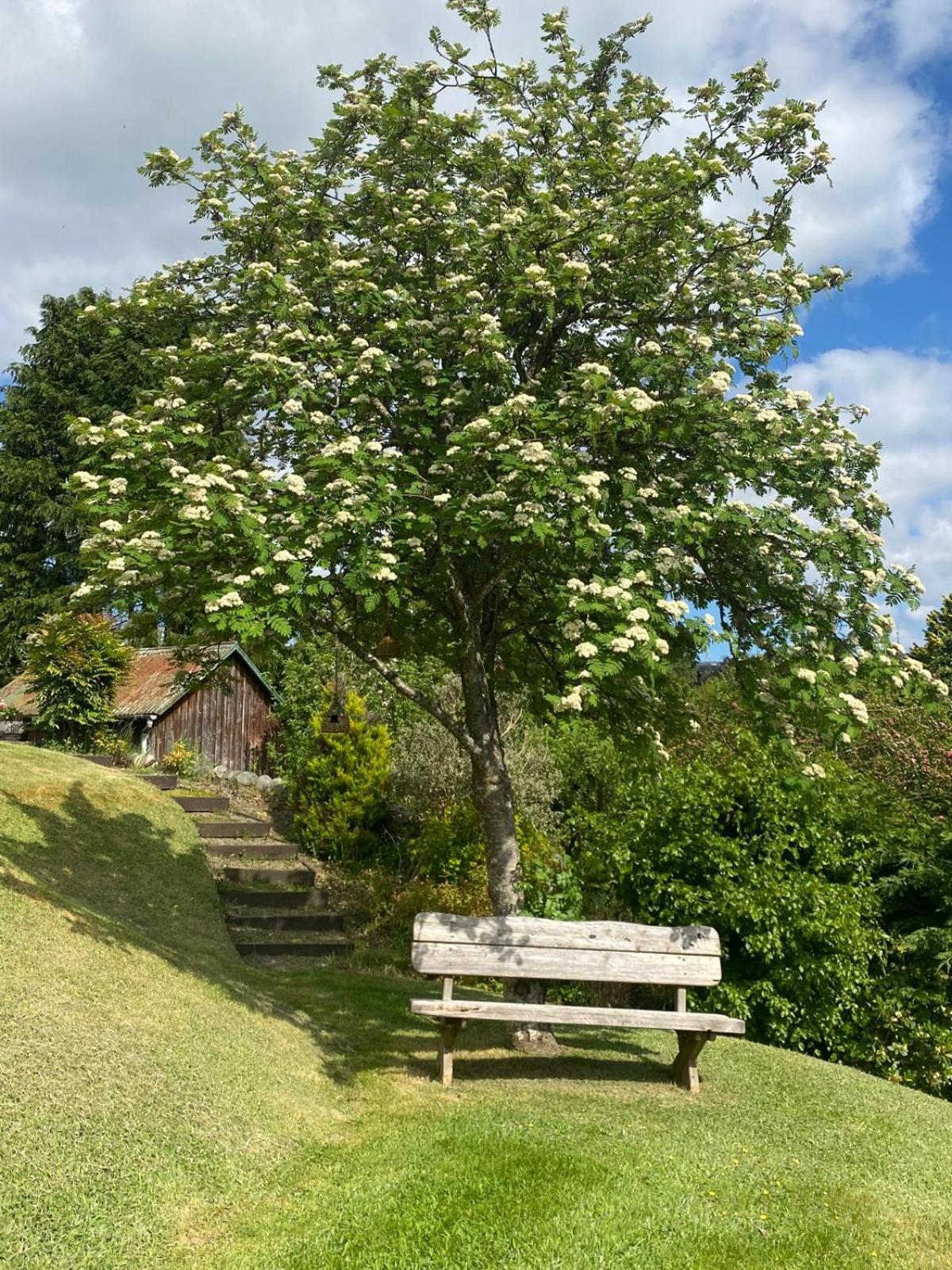 Beinn Bhracaigh Pitlochry Zewnętrze zdjęcie